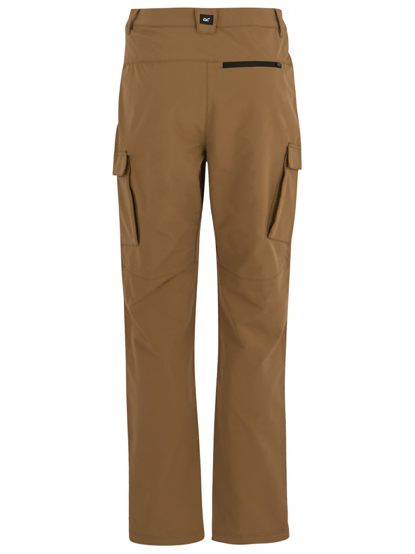 Штаны спортивные Regatta Questracargotrs модель RMJ314-ZN0 Штаны спортивные Regatta Questracargotrs модель RMJ314-ZN0 Фото