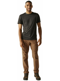 Штаны спортивные Regatta Questracargotrs модель RMJ314-ZN0 Штаны спортивные Regatta Questracargotrs модель RMJ314-ZN0 Фото