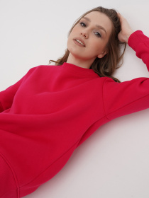 Свитшот Daria Karpiuk модель SWF1062NV25CTPO Фото