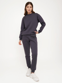 Свитшот Daria Karpiuk модель SWF1082NV25CTPO Фото