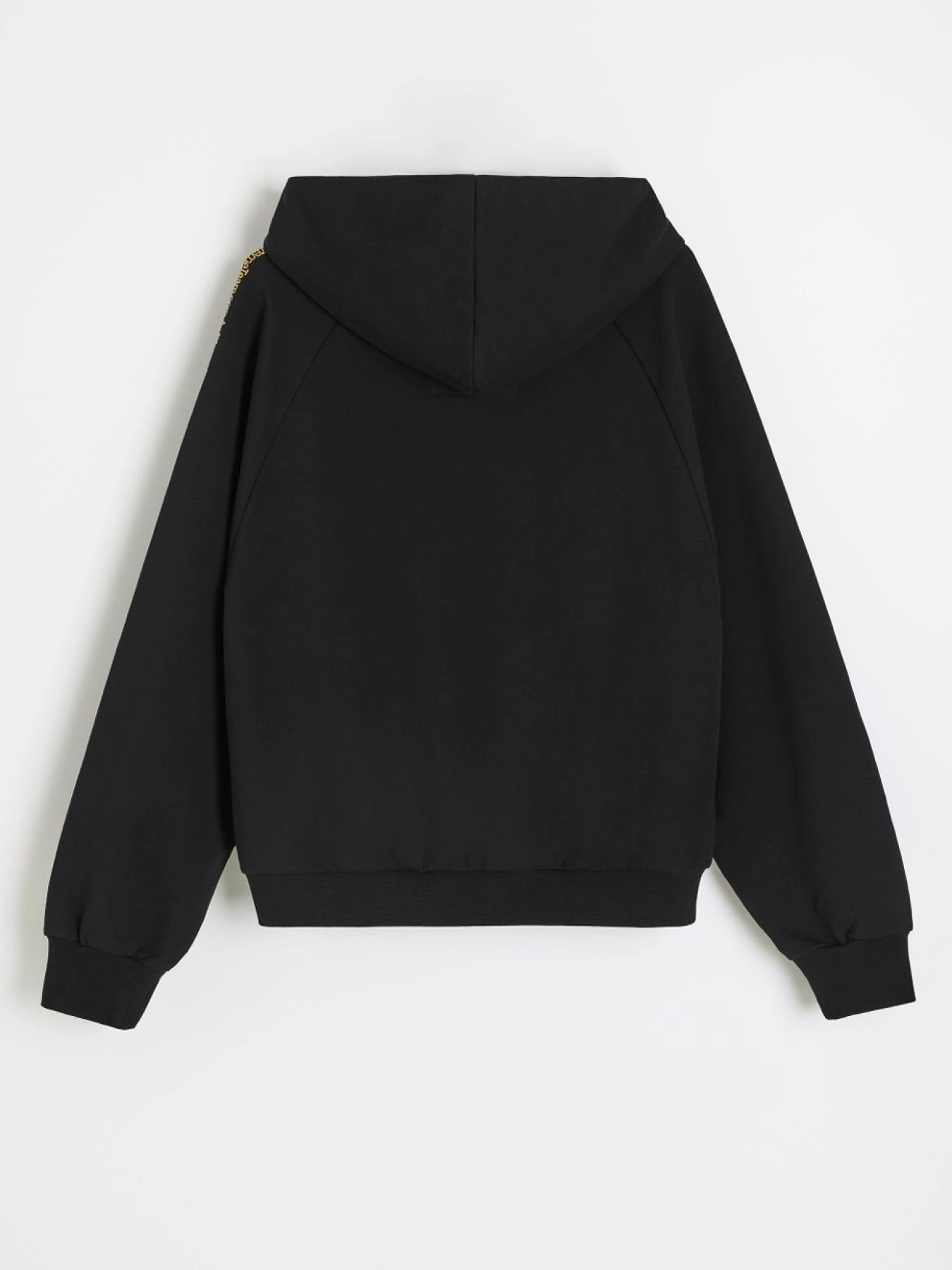 Худі DIVERSE Dkr Alis модель 10048287 Фото