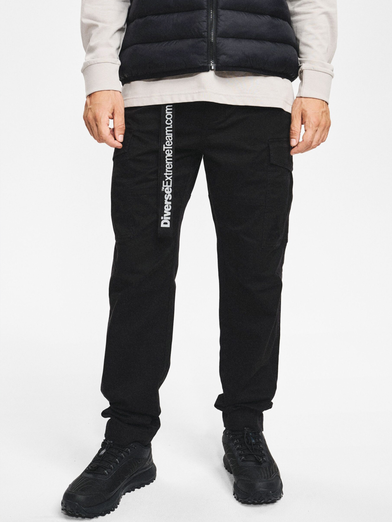 Карго DIVERSE Dkr Cargo 256 модель 10048078 Фото