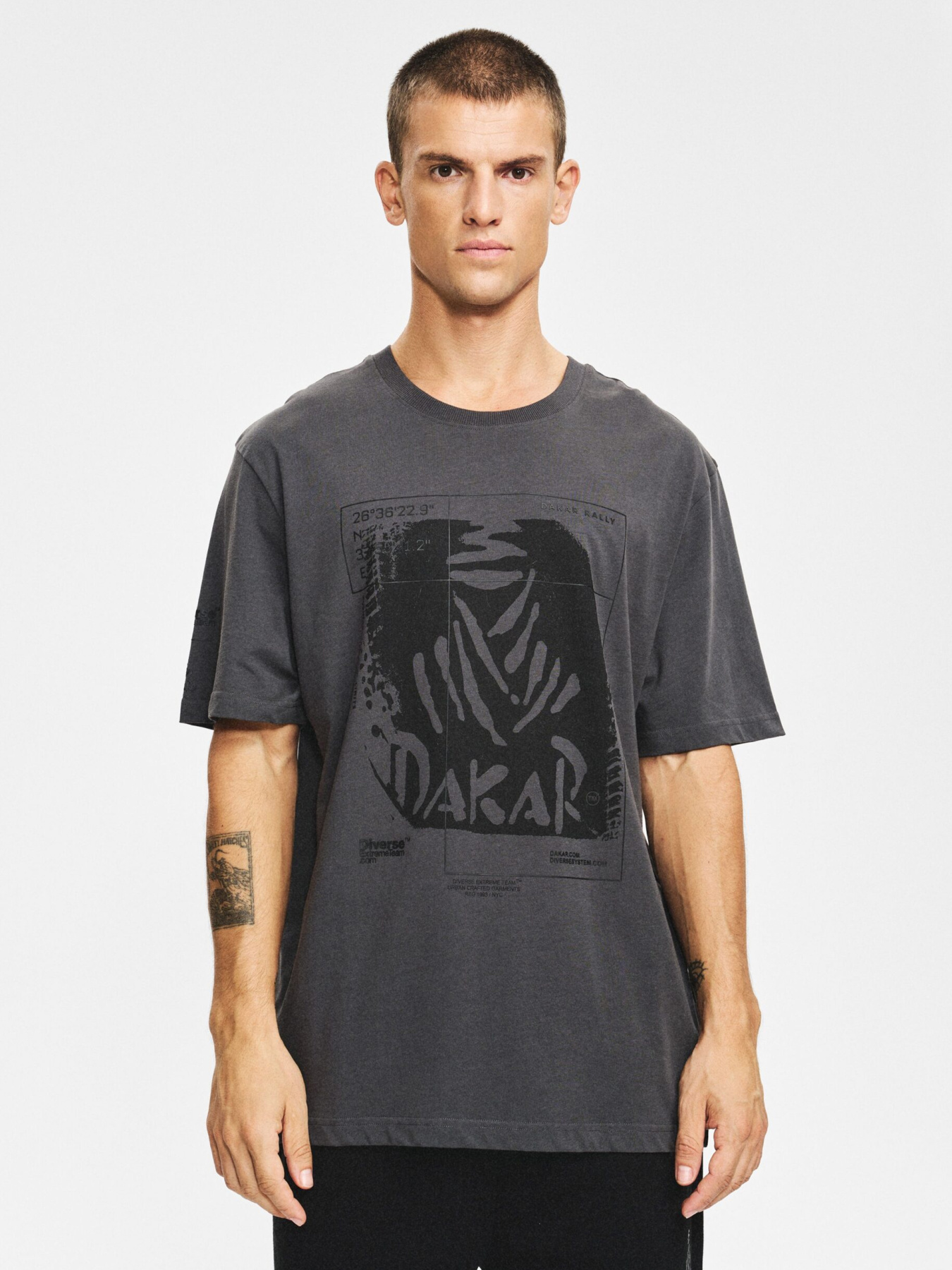 Футболка DIVERSE Dkr Des 1425 модель 10048098 Футболка DIVERSE Dkr Des 1425 модель 10048098 Фото