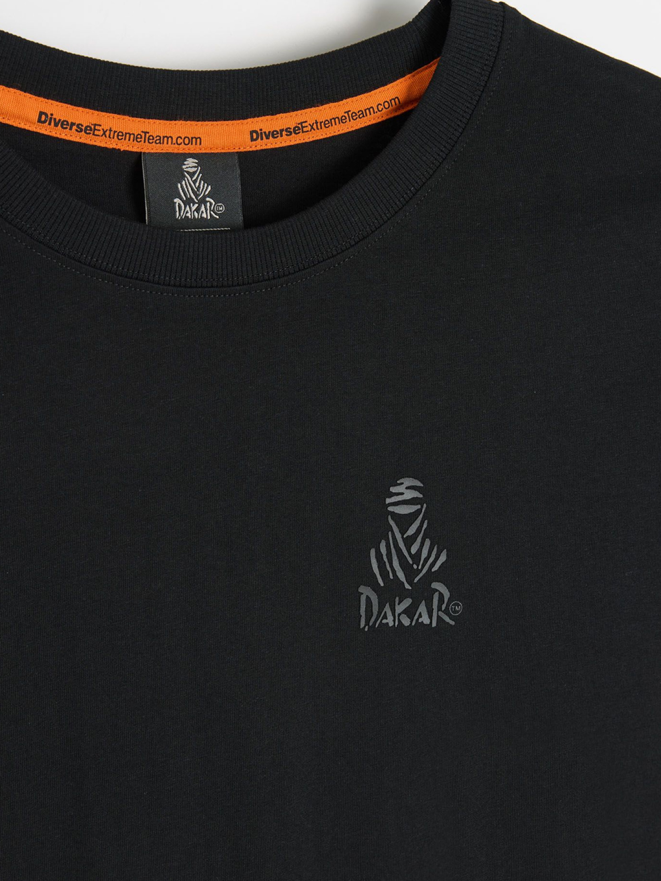 Футболка DIVERSE Dkr Logo Sm 256 модель 10048107 Фото