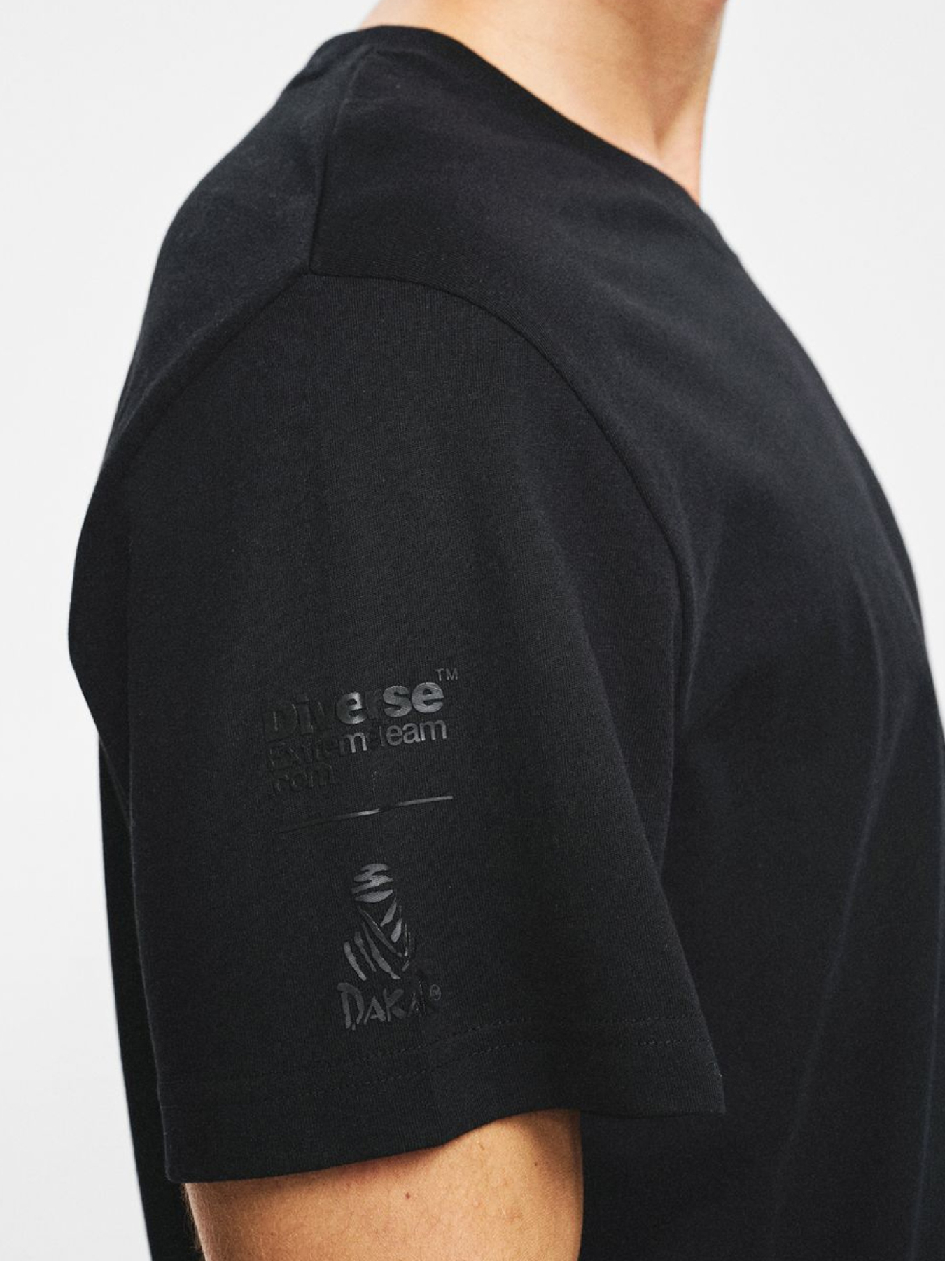 Футболка DIVERSE Dkr Logo Sm 256 модель 10048107 Фото
