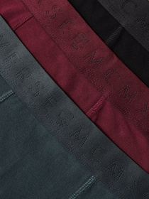 Набор трусов DIVERSE Prm Glos 3p модель 10048230 Фото