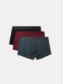 Комплект мужских шорт боксеров PRM GLOS 3 шт многоцветные модель 10048230 Фото