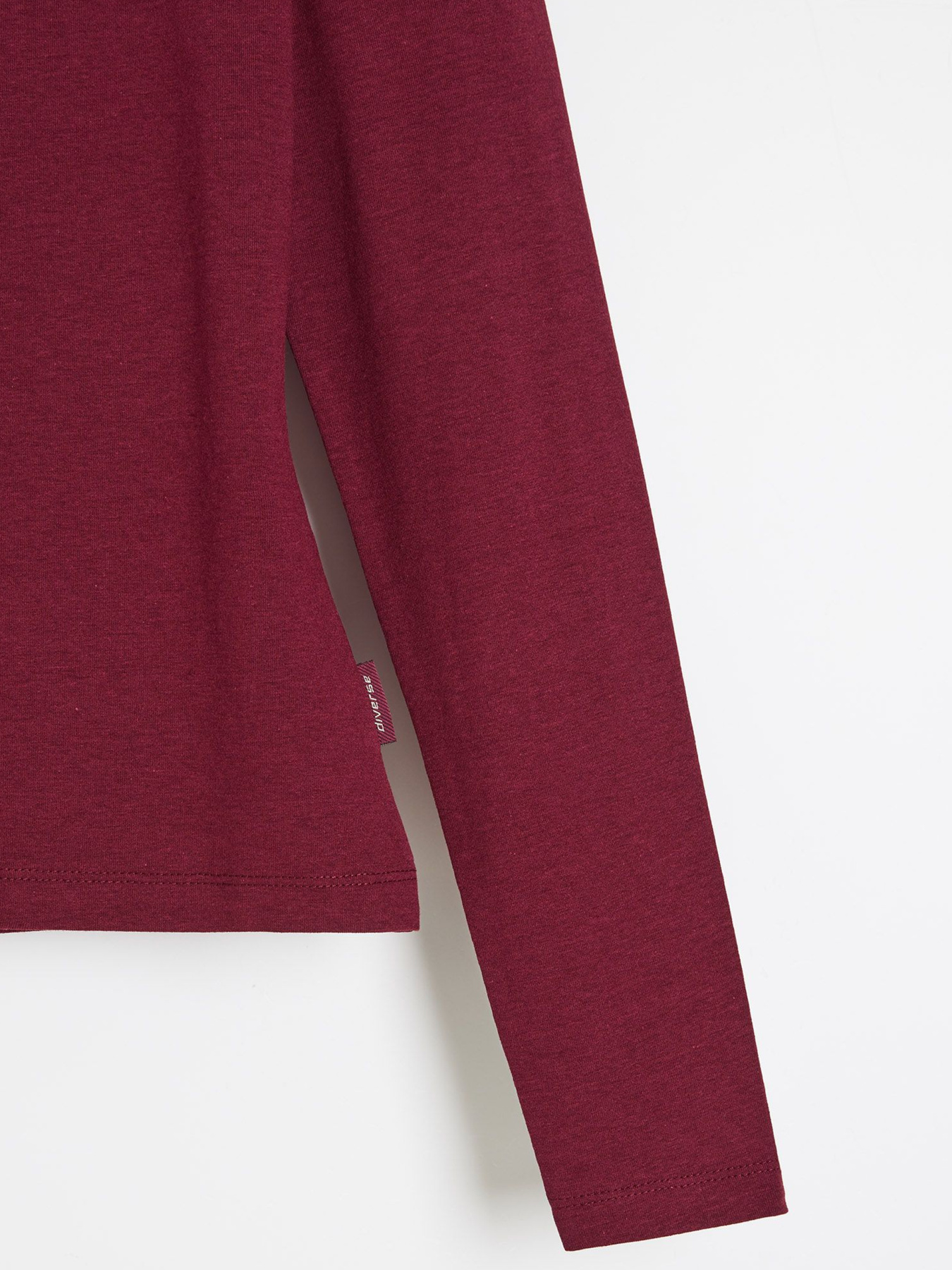 Лонгслів DIVERSE None модель 10048292 Фото