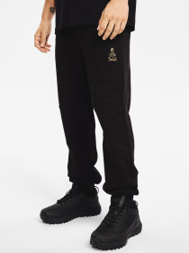 Штаны спортивные DIVERSE Dkr Vip Sp 05 модель 10048142 Фото