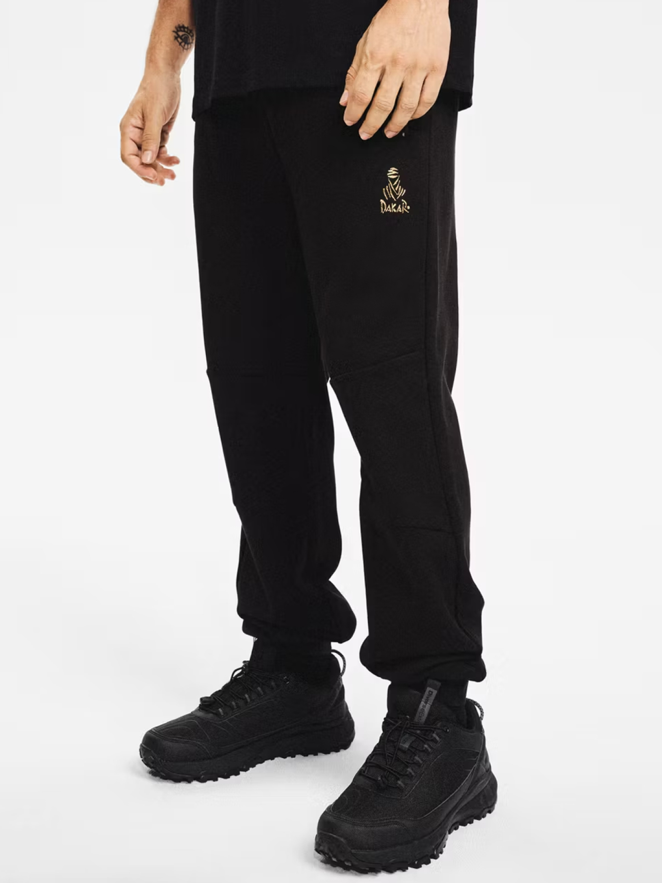 Штаны спортивные DIVERSE Dkr Vip Sp 05 модель 10048142 Фото