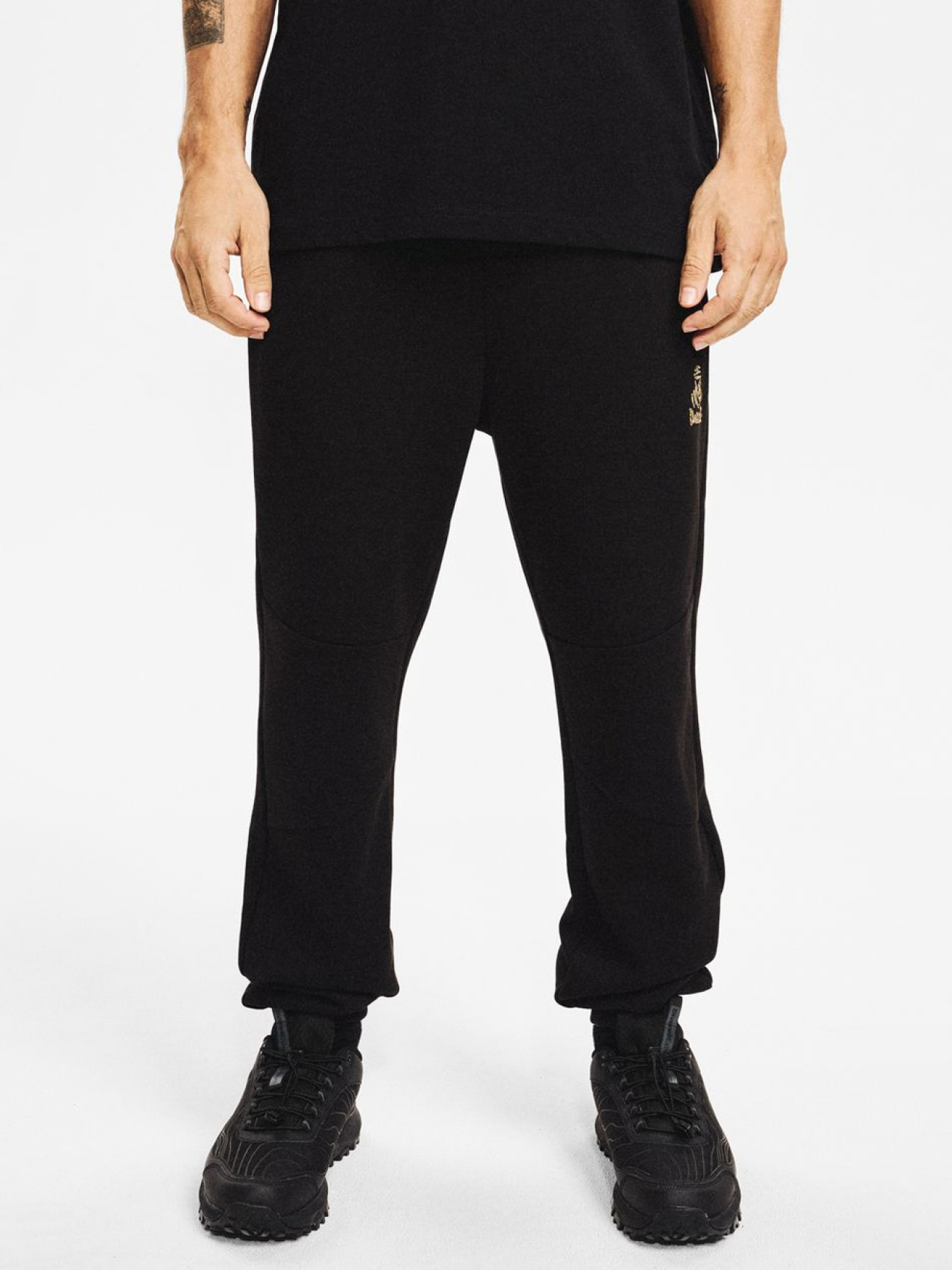 Штаны спортивные DIVERSE Dkr Vip Sp 05 модель 10048142 Фото