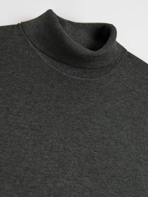 Водолазка DIVERSE Tourdo 256 модель 10048125 Фото