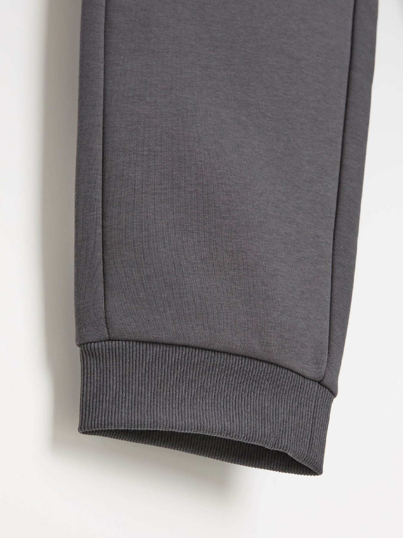 Штаны спортивные DIVERSE Dkr Recover P3 модель 10048141 Фото