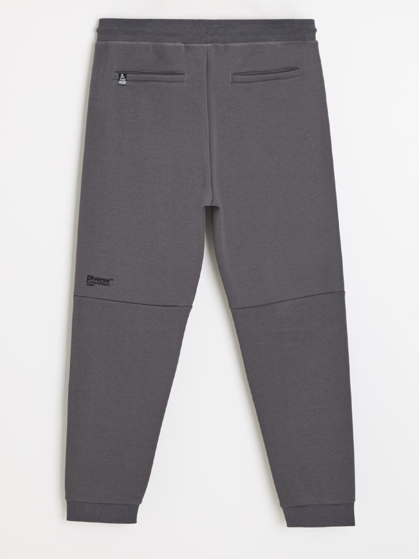 Штаны спортивные DIVERSE Dkr Recover P3 модель 10048141 Фото