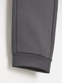 Штаны спортивные DIVERSE Dkr Recover P3 модель 10048141 Фото