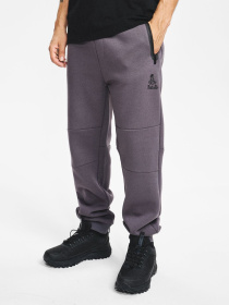 Спортивні штани DIVERSE Dkr Recover P3 модель 10048141 Фото