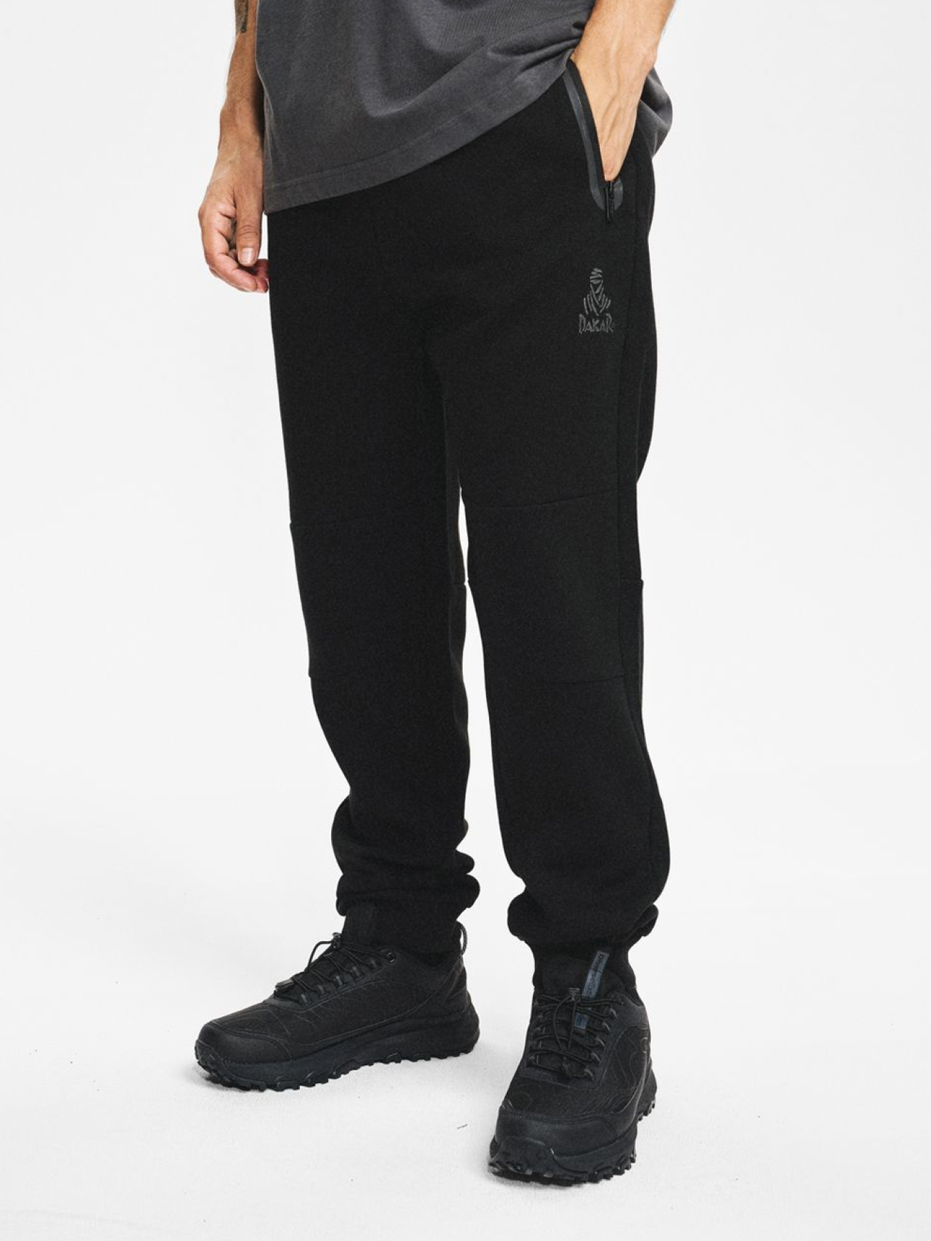 Спортивні штани DIVERSE Dkr Recover P3 модель 10048141 Фото