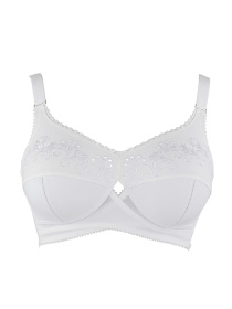 Бюстгальтер BERLEI Classic модель b512 Фото