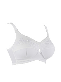 Бюстгальтер BERLEI Classic модель b512 Фото