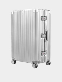 Дорожные сумки и чемоданы NinetyGo All-Round Guard модель 1135-SILVER Фото