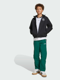 Повсякденні штани Adidas модель JW9120 Фото