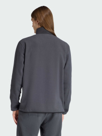 Флисовая кофта Adidas Graphics модель JX8191 Фото