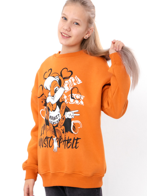 Свитшот Носи своє модель 6416-025-33-2-terakotovij Фото