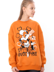 Свитшот Носи своє модель 6416-025-33-2-terakotovij Фото