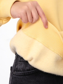 Свитшот Носи своє модель 6416-025-33-svtlo-psochnij-paris Фото