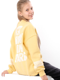 Свитшот Носи своє модель 6416-025-33-svtlo-psochnij-paris Фото