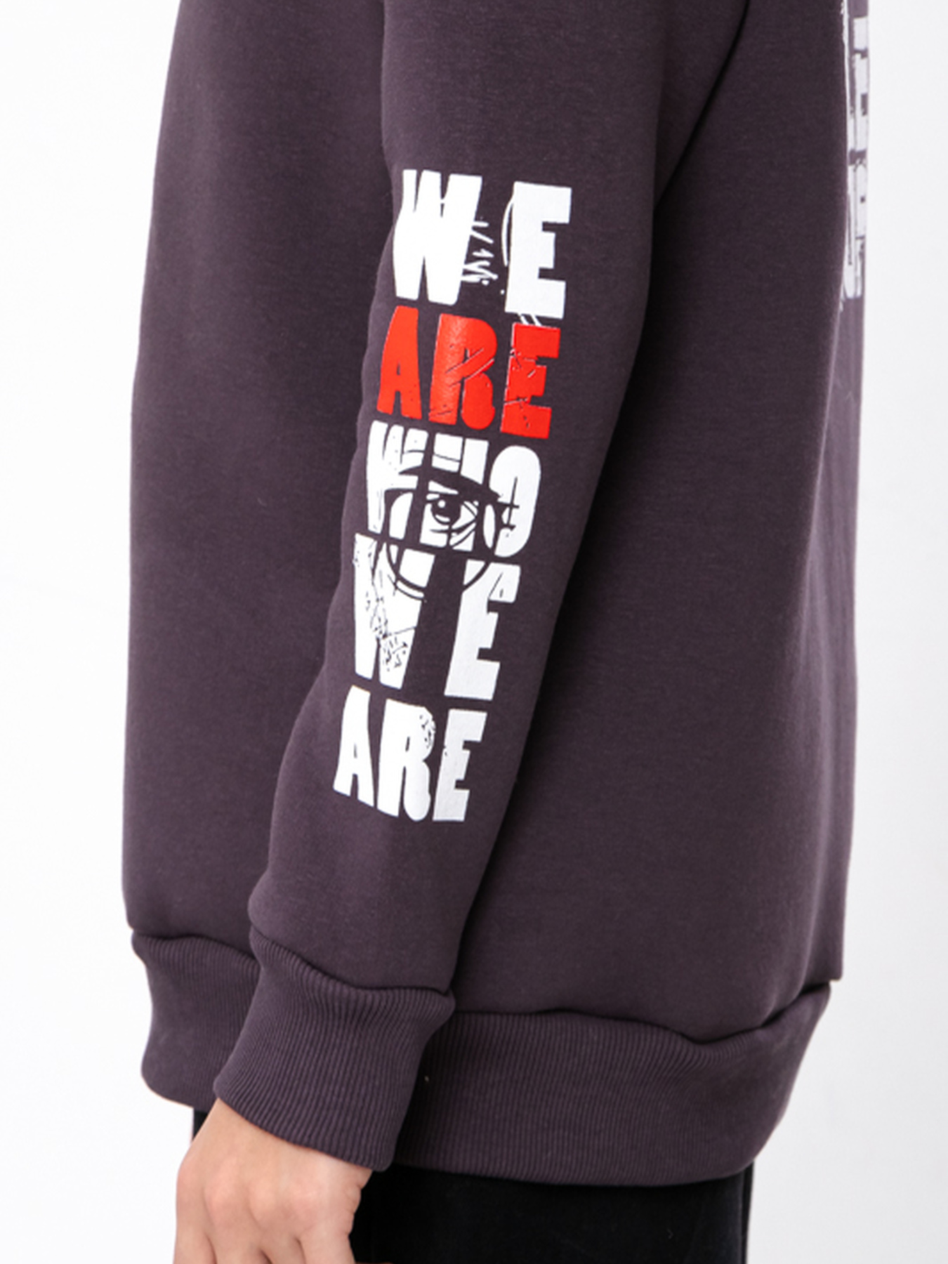 Свитшот Носи своє модель 6393-025-33-1-nzhir Свитшот Носи своє модель 6393-025-33-1-nzhir Фото