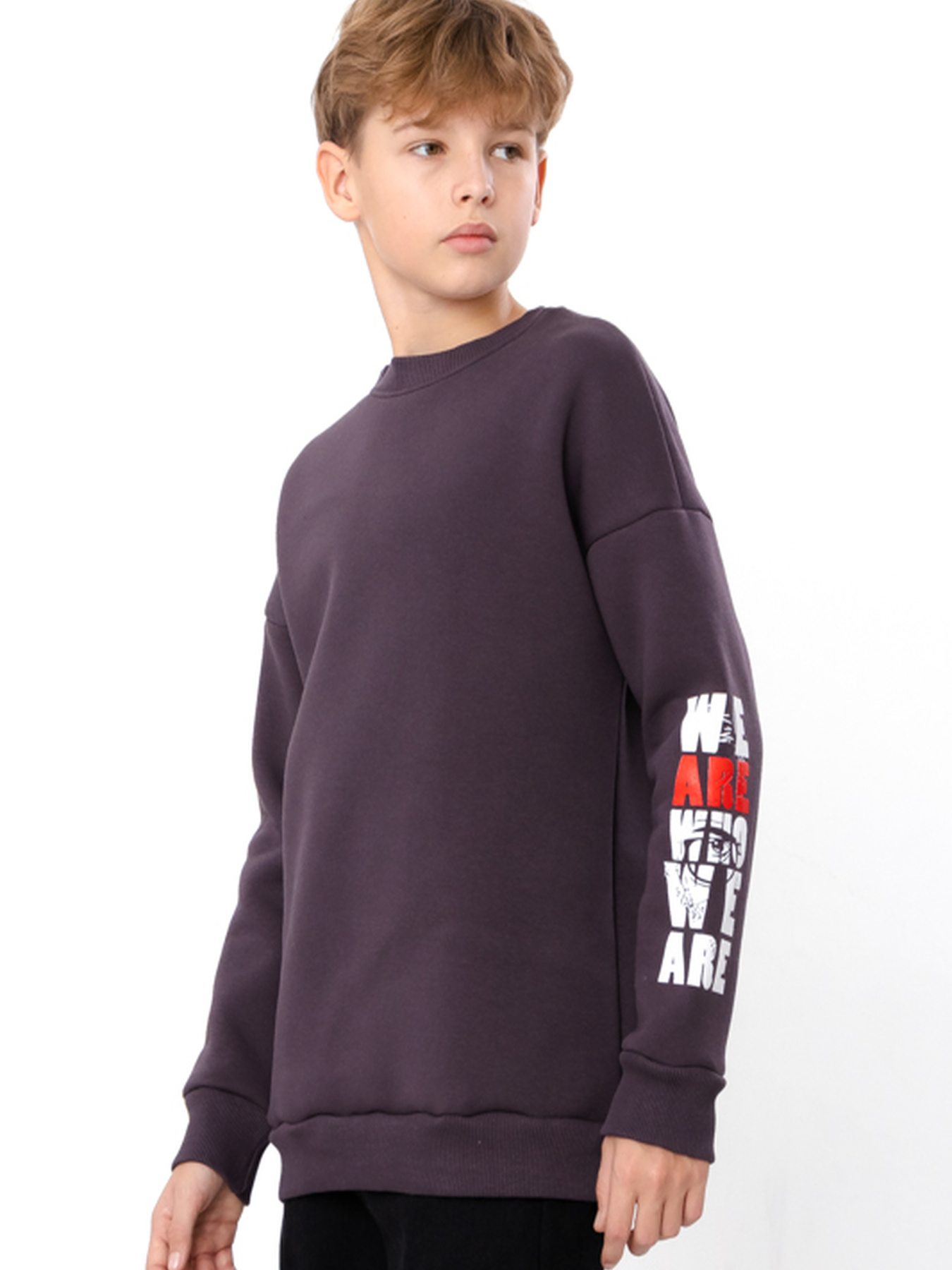 Свитшот Носи своє модель 6393-025-33-1-nzhir Свитшот Носи своє модель 6393-025-33-1-nzhir Фото