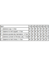 Спортивный костюм Носи своє модель 6398-025-2-chornij Фото