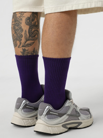 Набор носков Ейсік модель maxFioletovy Фото