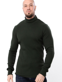 Водолазка Носи своє модель 8095-019-1-temnij-hak Водолазка Носи своє модель 8095-019-1-temnij-hak Фото