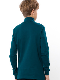 Водолазка Носи своє модель 6236-023-temno-smaragdovij Водолазка Носи своє модель 6236-023-temno-smaragdovij Фото