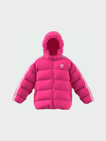 Ветровка Adidas Adicolor модель IY4809 Фото