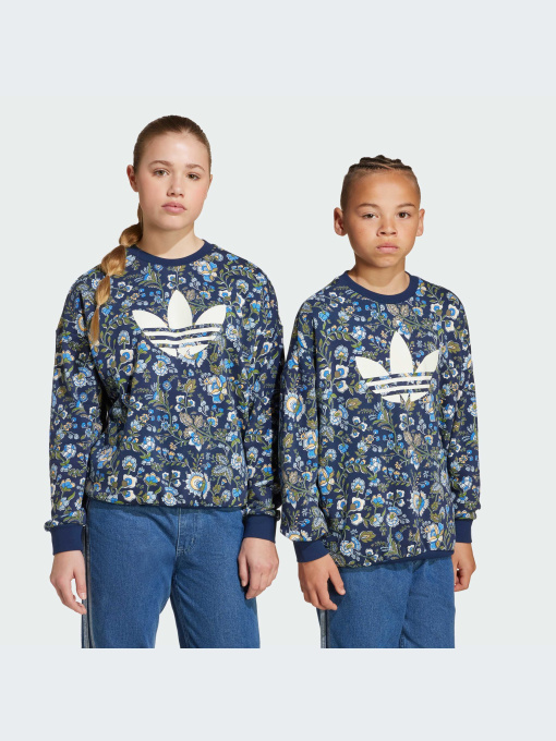 Худи и свитшоты Adidas Graphics модель JX6316-KZ Фото