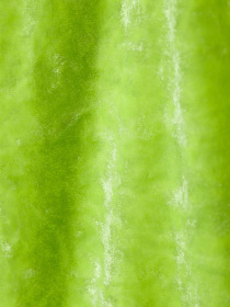 Лонгслив Weekday модель 8490570bar_Салатовый Фото