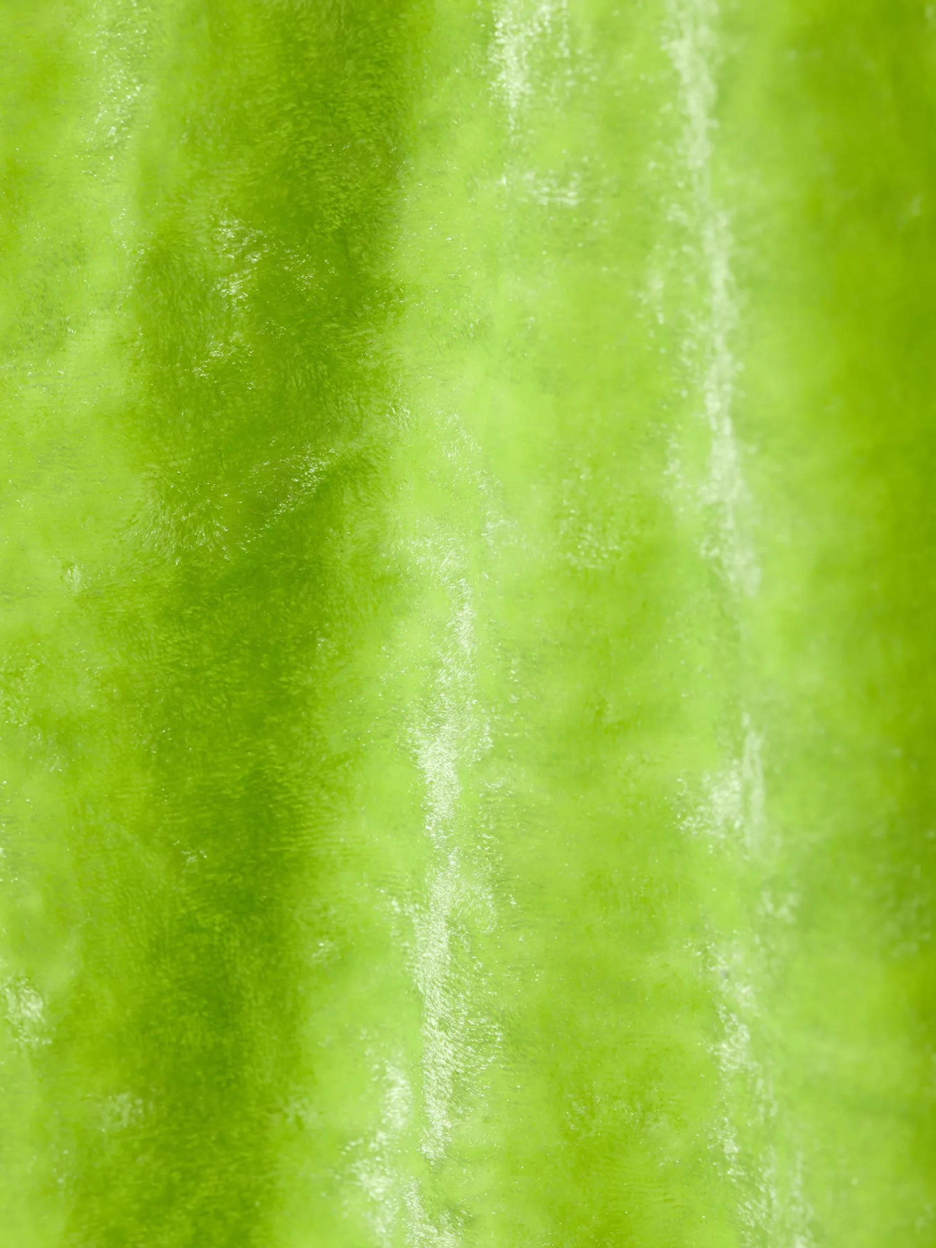 Лонгслив Weekday модель 8490570bar_Салатовый Лонгслив Weekday модель 8490570bar_Салатовый Фото