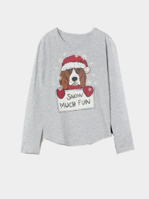 Лонгслив H&M модель 6892034arl_Серый Фото