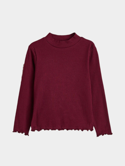 Водолазка H&M модель 3957306kwer_Бордовый Фото