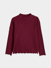 Водолазка H&M модель 3957306kwer_Бордовый Фото