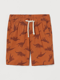 Шорти H&M модель 9344823arl_Коричневый Фото