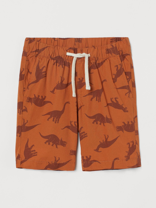 Шорты H&M модель 9344823arl_Коричневый Фото