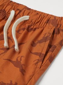 Повсякденні шорти H&M модель 9344823arl_Коричневый Фото