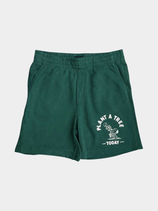 Повседневные шорты H&M модель 1157533wer_Изумрудный Фото