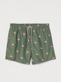 Шорты для плавания H&M модель 9447183wer_Зеленый Шорты для плавания H&M модель 9447183wer_Зеленый Фото