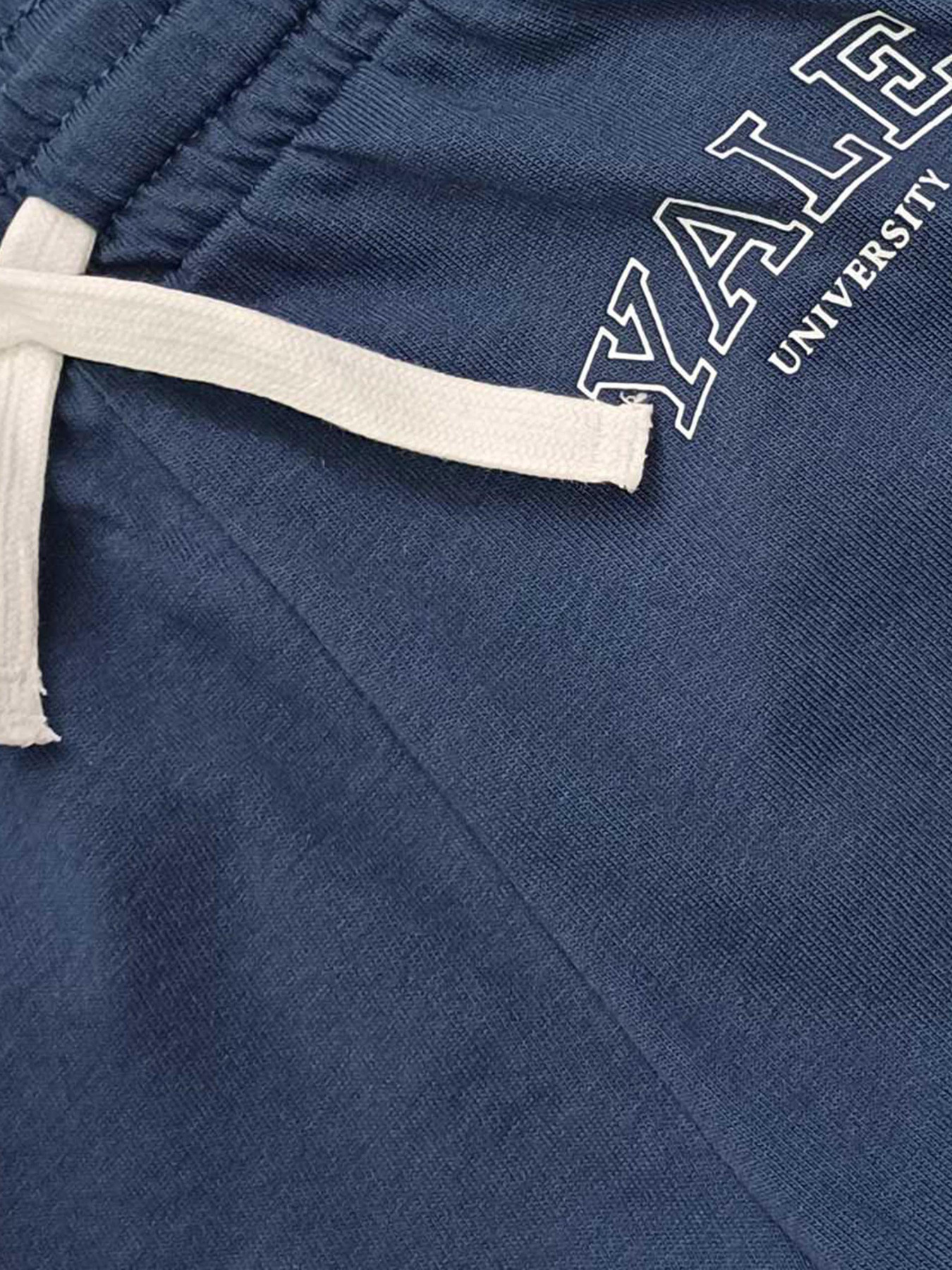 Повсякденні шорти H&M модель 10984505kwer_Синий Фото