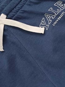 Повсякденні шорти H&M модель 10984505kwer_Синий Фото